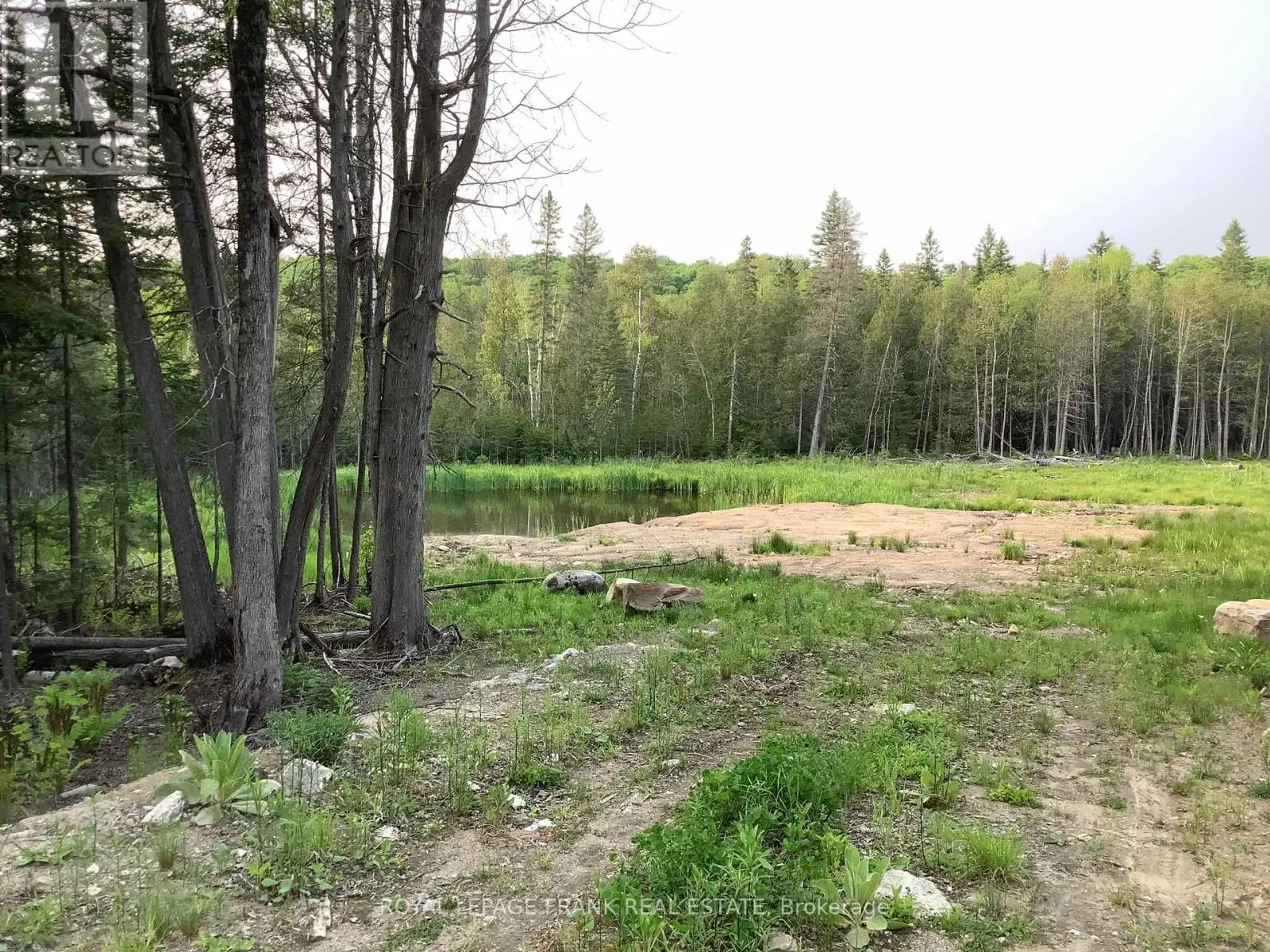 20833 Hwy 118, Highlands East, Ontario  K0L 3C0 - Photo 3 - X12087482