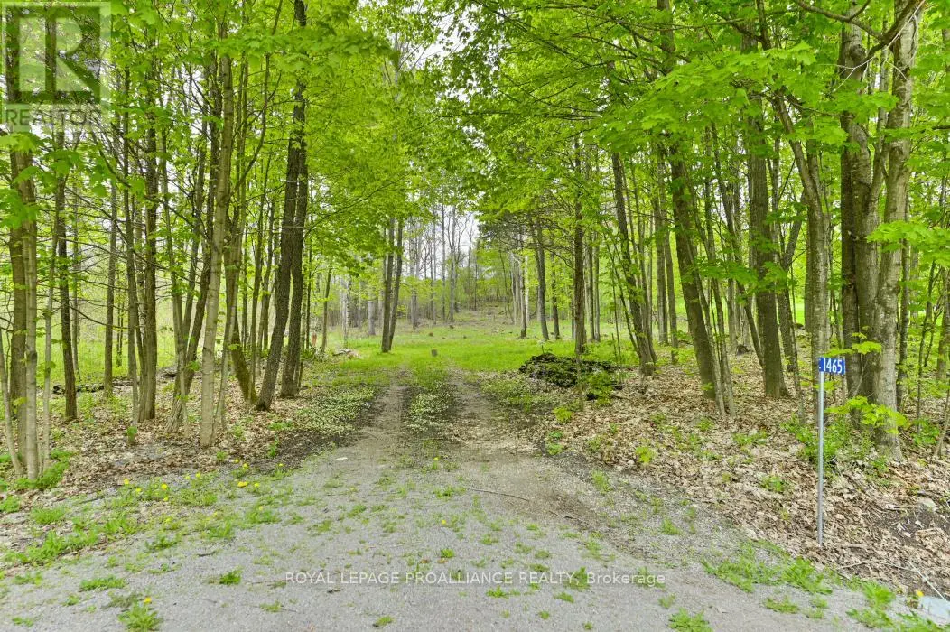 1465 Phillipston Road, Centre Hastings, Ontario  K0K 2Y0 - Photo 1 - X12175048