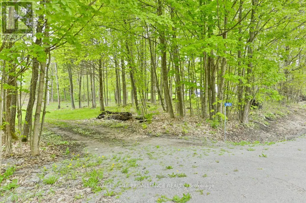 1465 Phillipston Road, Centre Hastings, Ontario  K0K 2Y0 - Photo 2 - X12175048