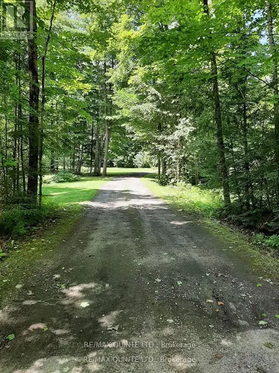 3247 Flinton Road, Addington Highlands, Ontario  K0P 1P0 - Photo 2 - X12202998