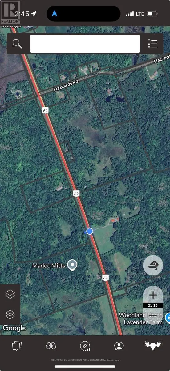 0 Hwy 62 N, Madoc, Ontario  K0K 2K0 - Photo 3 - X12203336