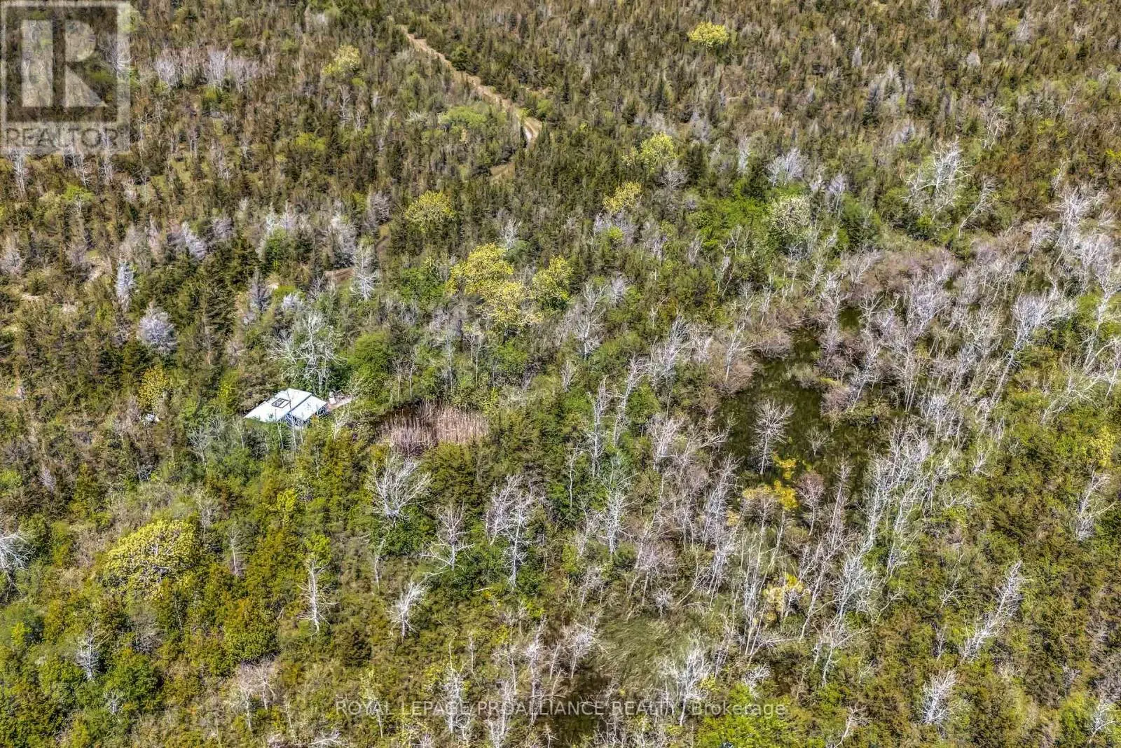 Lot 3 Hill Top Road, Prince Edward County, Ontario  K0K 2P0 - Photo 3 - X12203635