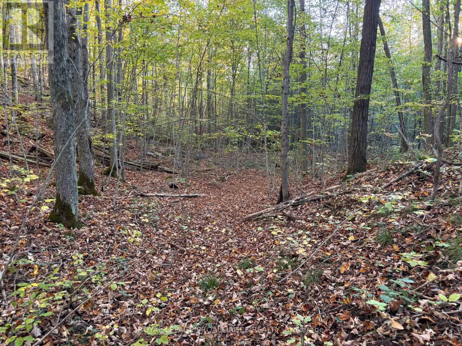 Pt Lt 29-30 Naphan Road, Tyendinaga, Ontario  K0K 2Y0 - Photo 1 - X12204307