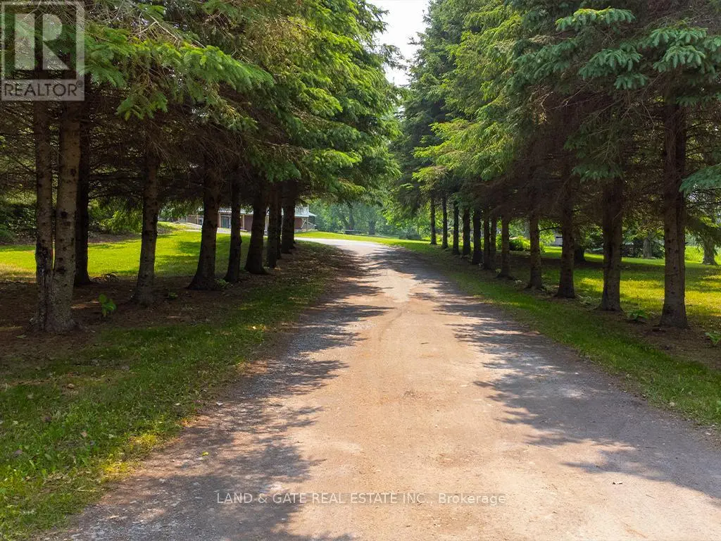 354 Labarge Road, Tweed, Ontario  K0K 3J0 - Photo 2 - X12206016