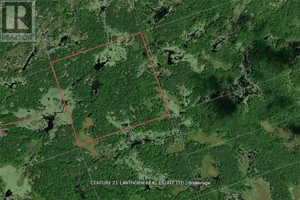 Lt 28 Con 9, Tweed, Ontario  K0K 3J0 - Photo 2 - X12206024