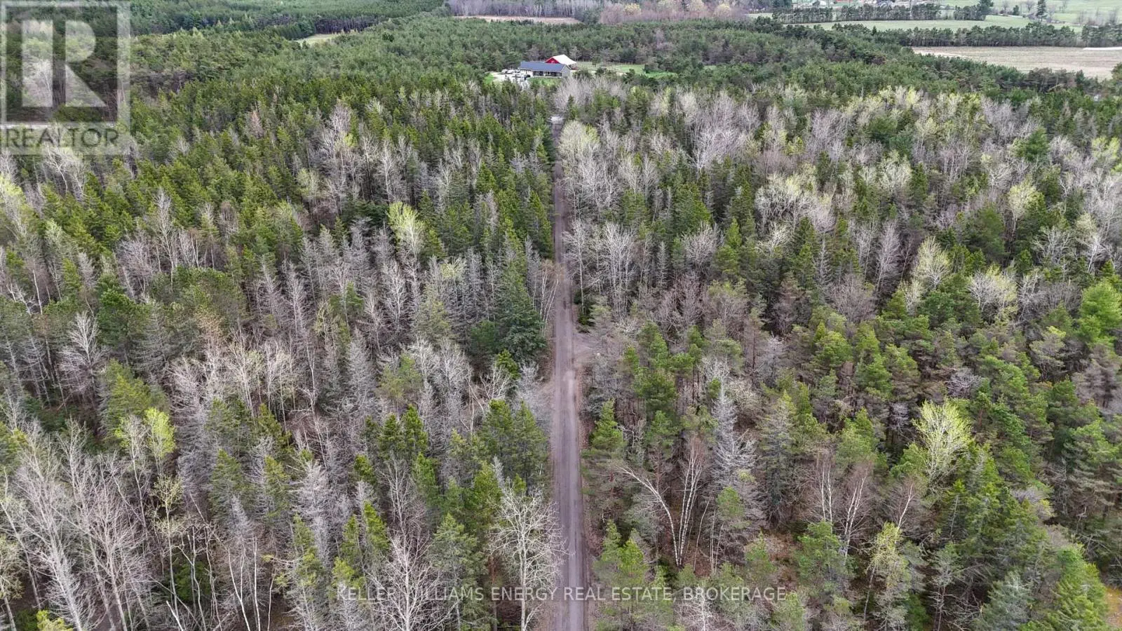 54 Zion Line, Cavan Monaghan, Ontario  L0A 1G0 - Photo 3 - X12206034
