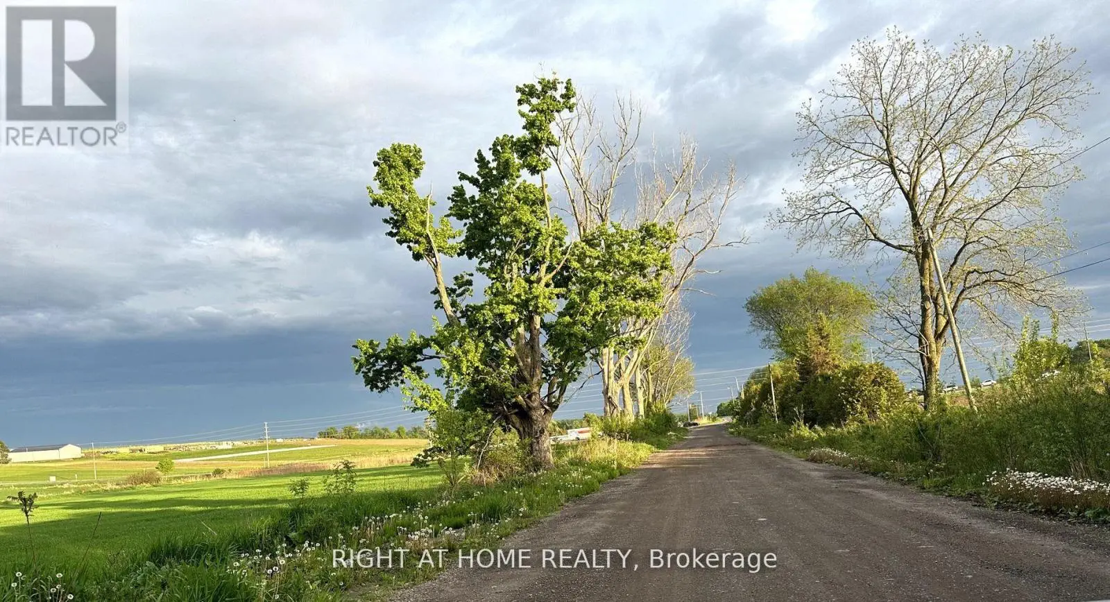 1756 Taunton Road, Clarington, Ontario  L0B 1J0 - Photo 2 - E12206666