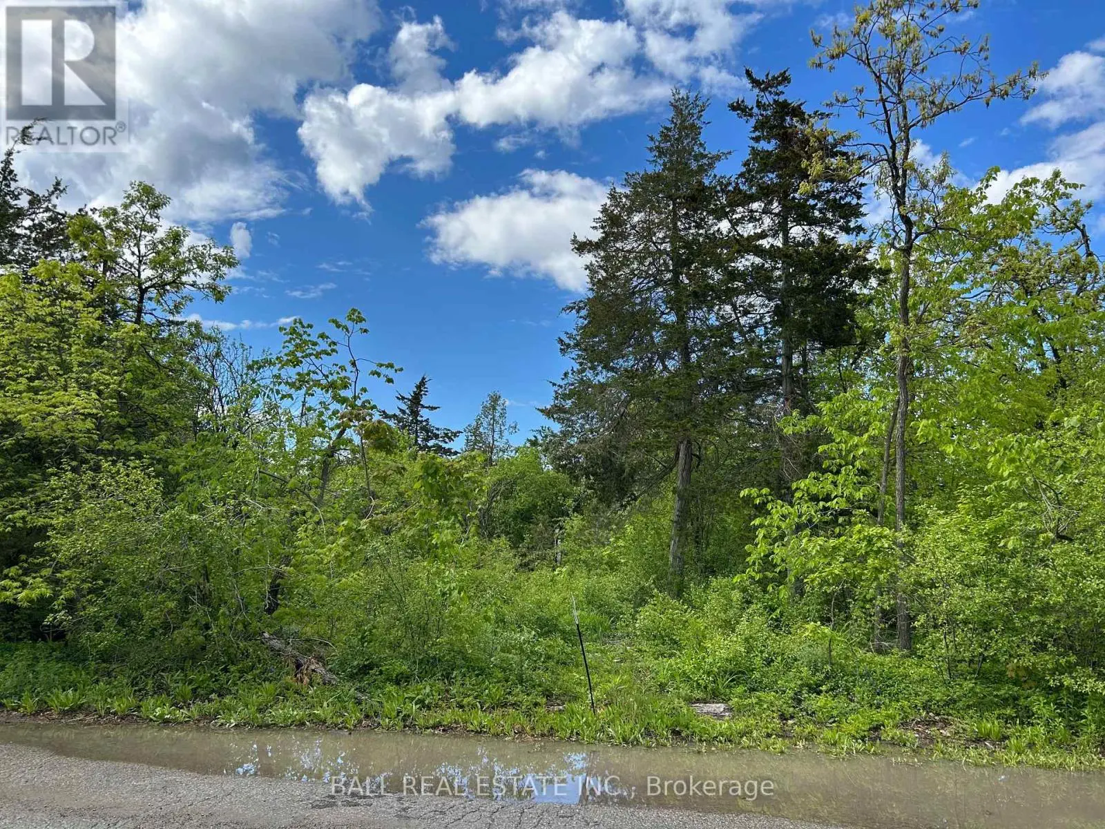 0 Snake Point Road, Kawartha Lakes, Ontario  K0M 1A0 - Photo 3 - X12207708
