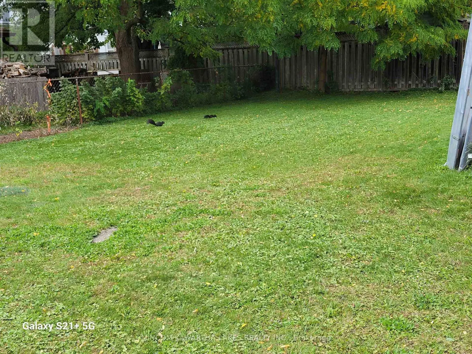 00 Western Avenue, Peterborough Central, Ontario  K9J 5W1 - Photo 1 - X12210933