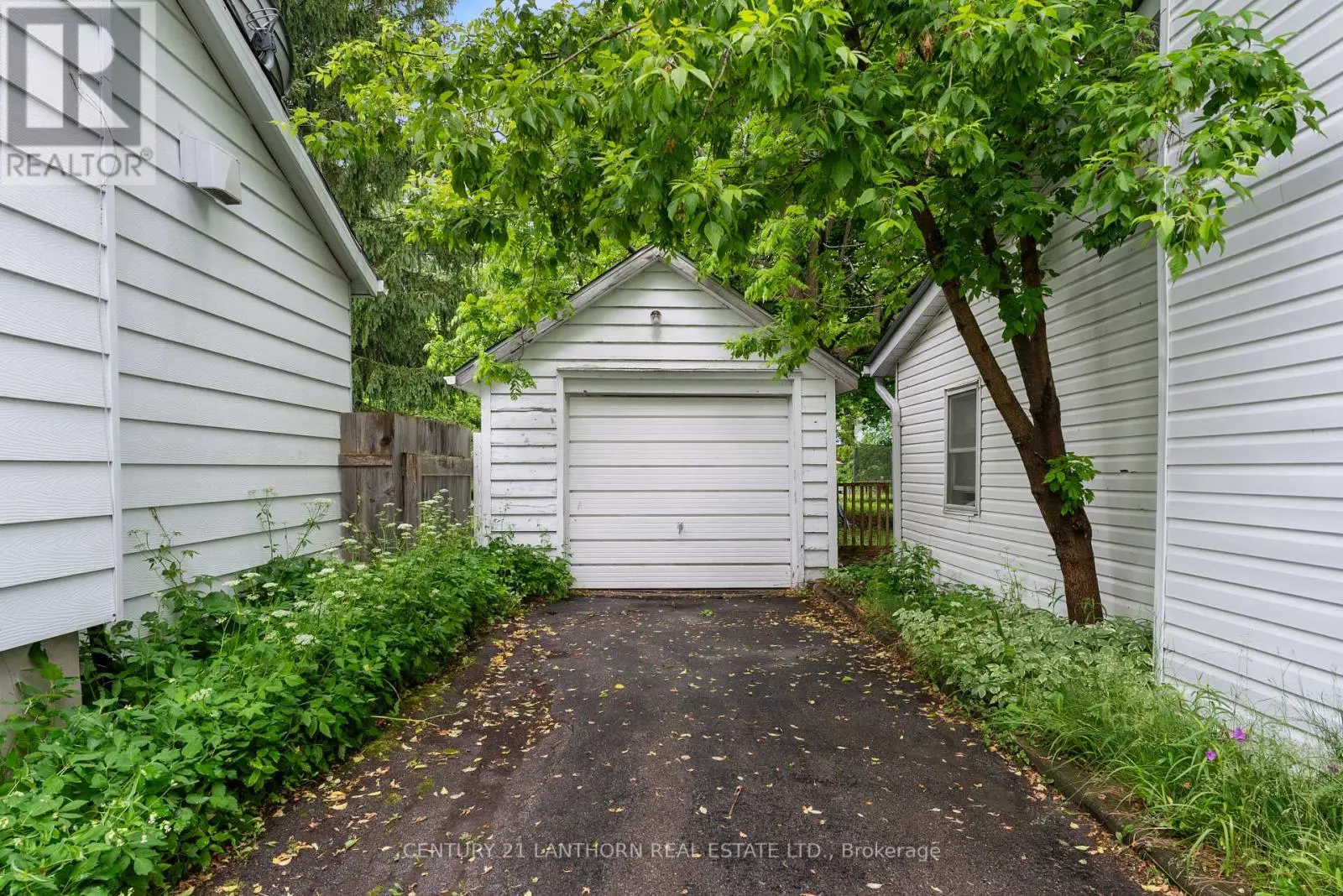 18 Elm Street, Prince Edward County, Ontario  K0K 2T0 - Photo 3 - X12211801