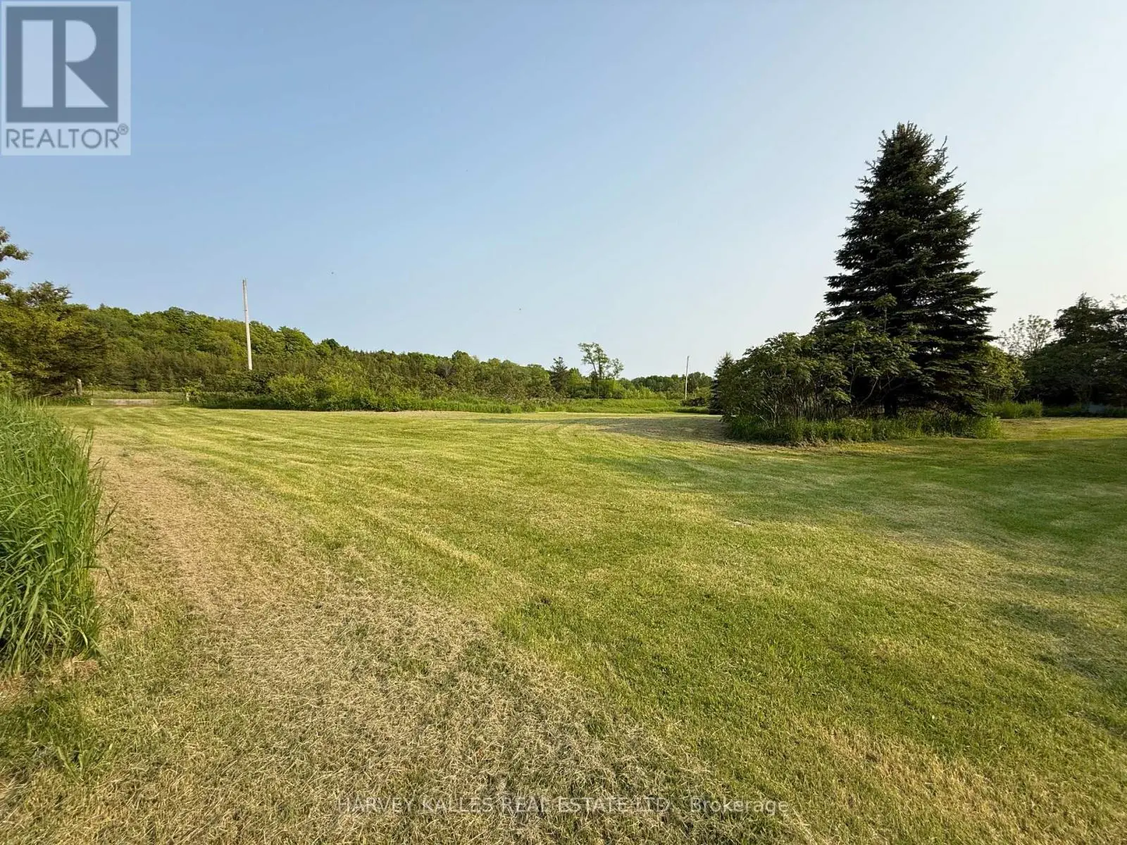 1032 County Road 13 Road, Prince Edward County, Ontario  K0K 2P0 - Photo 2 - X12212066