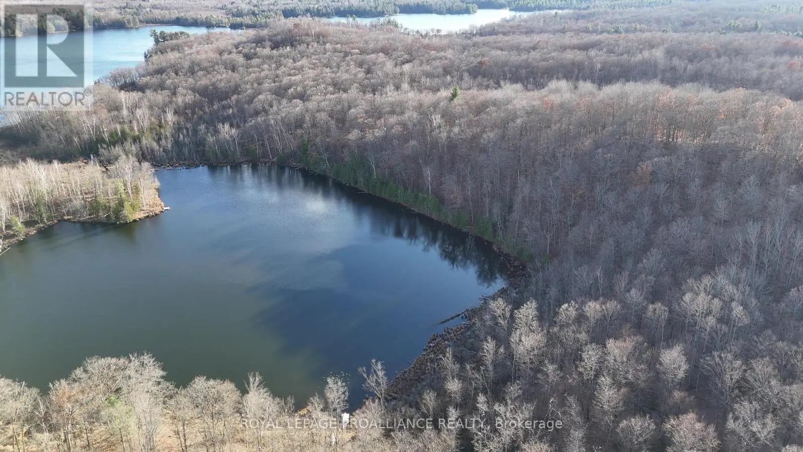 1098 Twin Sisters Lake Road N, Marmora And Lake, Ontario  K0K 2M0 - Photo 3 - X12169897