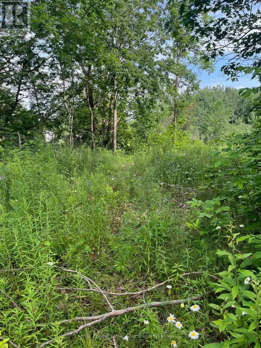 Ptlt14 Con 3, Rideau Lakes, Ontario  K0G 1X0 - Photo 3 - X12215941