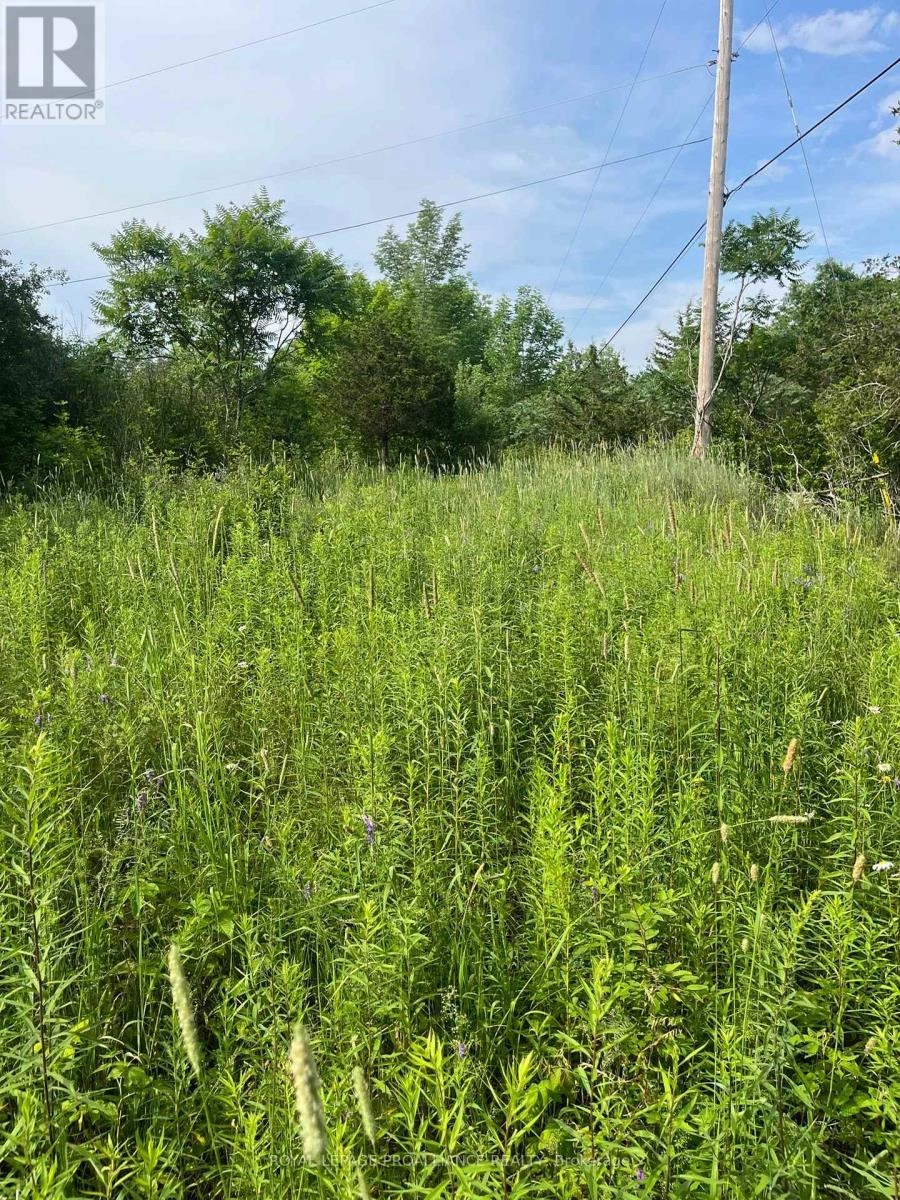 Ptlt14 Con 3, Rideau Lakes, Ontario  K0G 1X0 - Photo 4 - X12215941