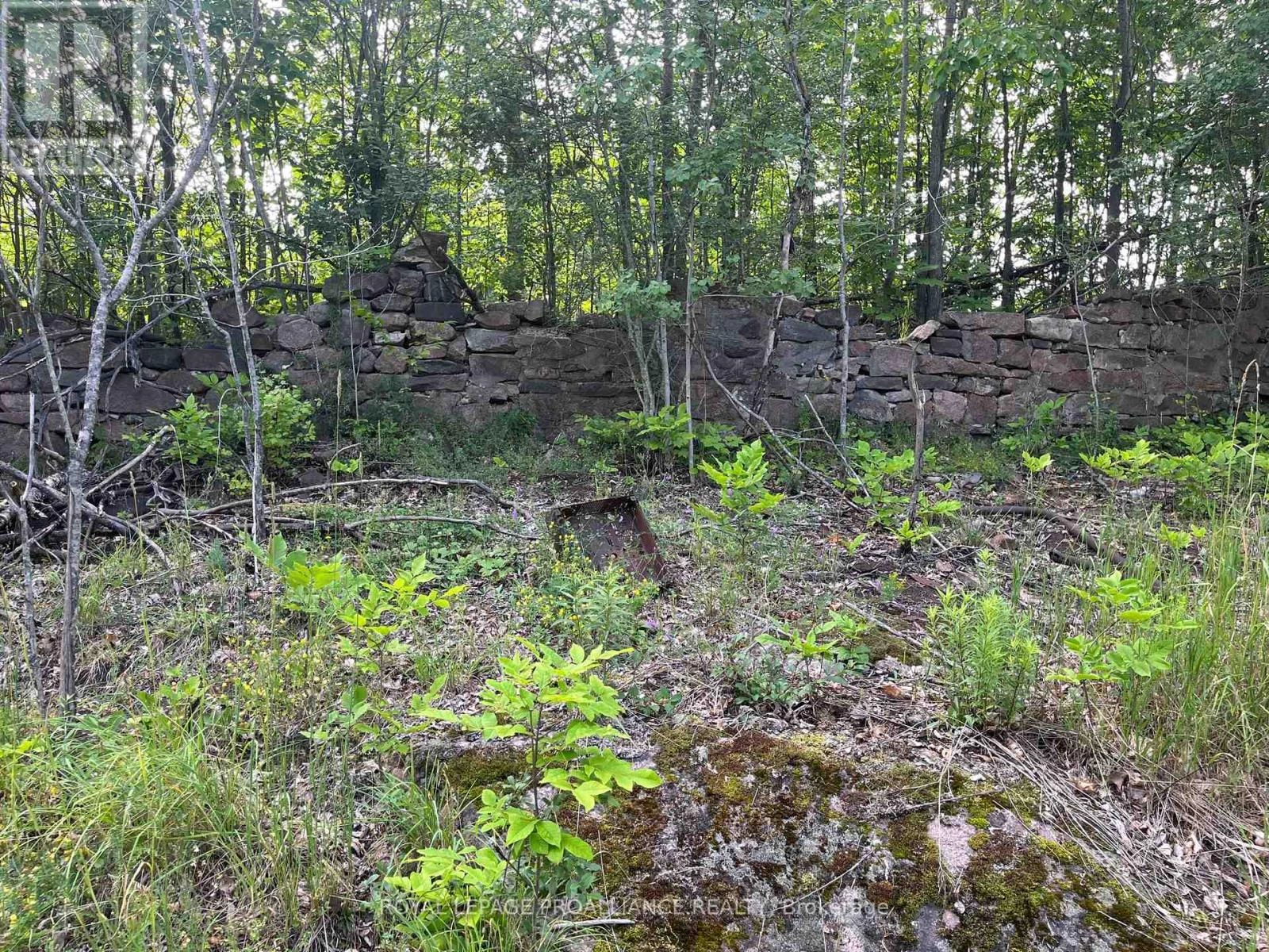 Ptlt14 Con 3, Rideau Lakes, Ontario  K0G 1X0 - Photo 5 - X12215941