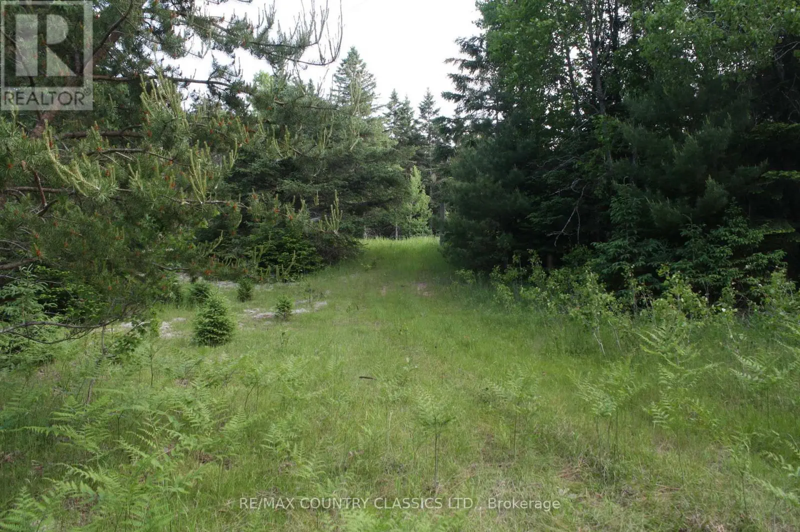 0 Highway 620, Wollaston, Ontario  K0L 1P0 - Photo 3 - X12219931
