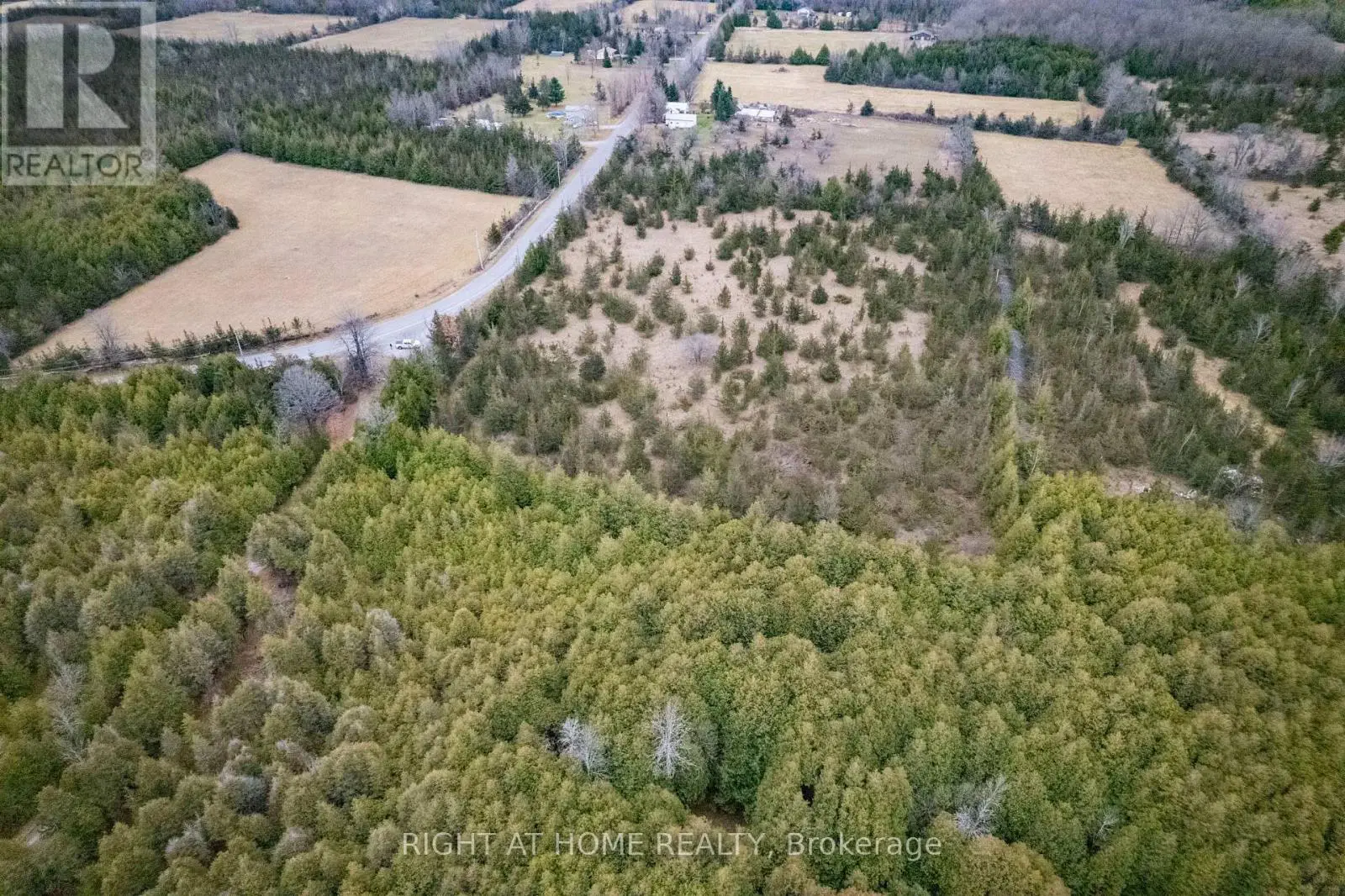 297 Power Road, Tyendinaga, Ontario  K0K 3A0 - Photo 3 - X12131424