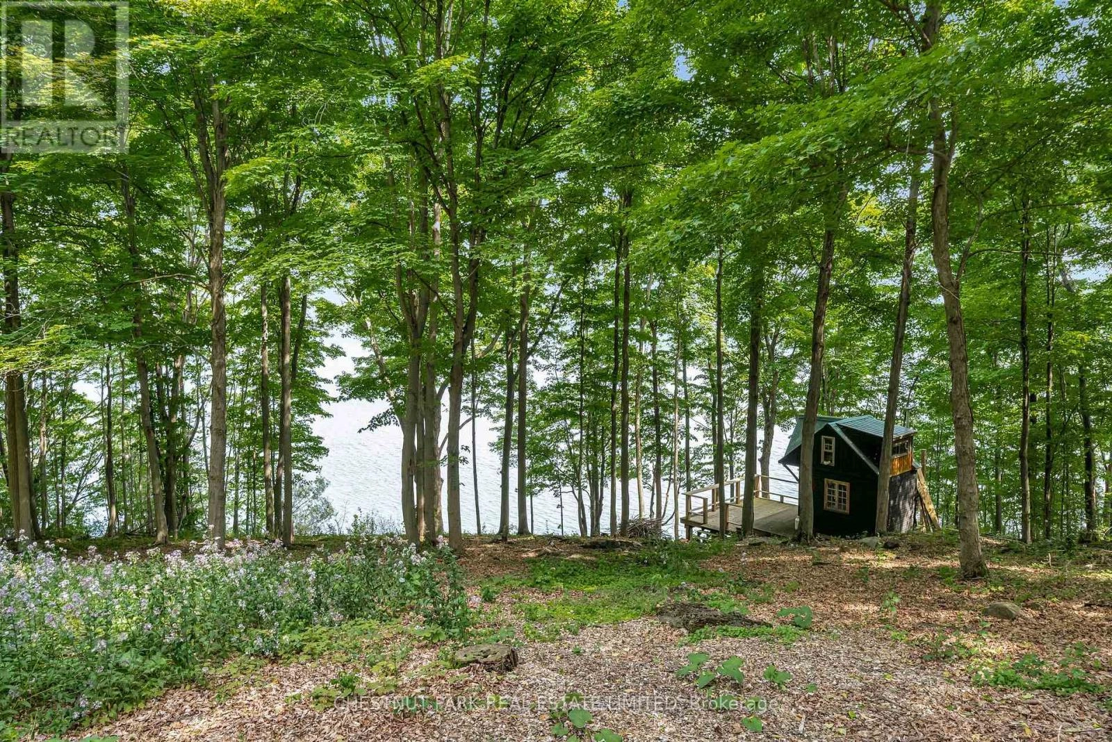 N/a Mccarthy Lane, Prince Edward County, Ontario K0K 2T0 - Photo 10 - X12223069