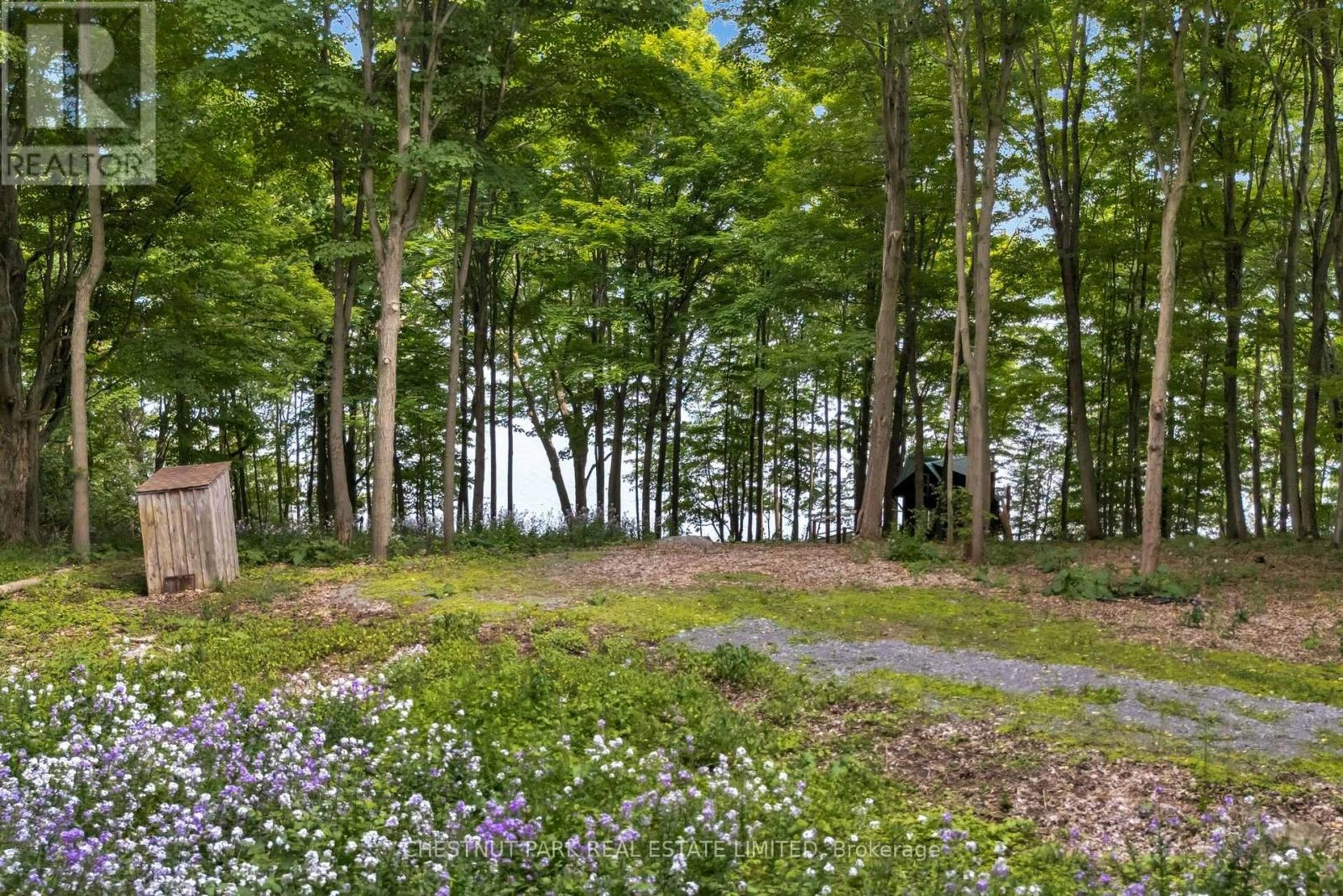 N/a Mccarthy Lane, Prince Edward County, Ontario K0K 2T0 - Photo 5 - X12223069