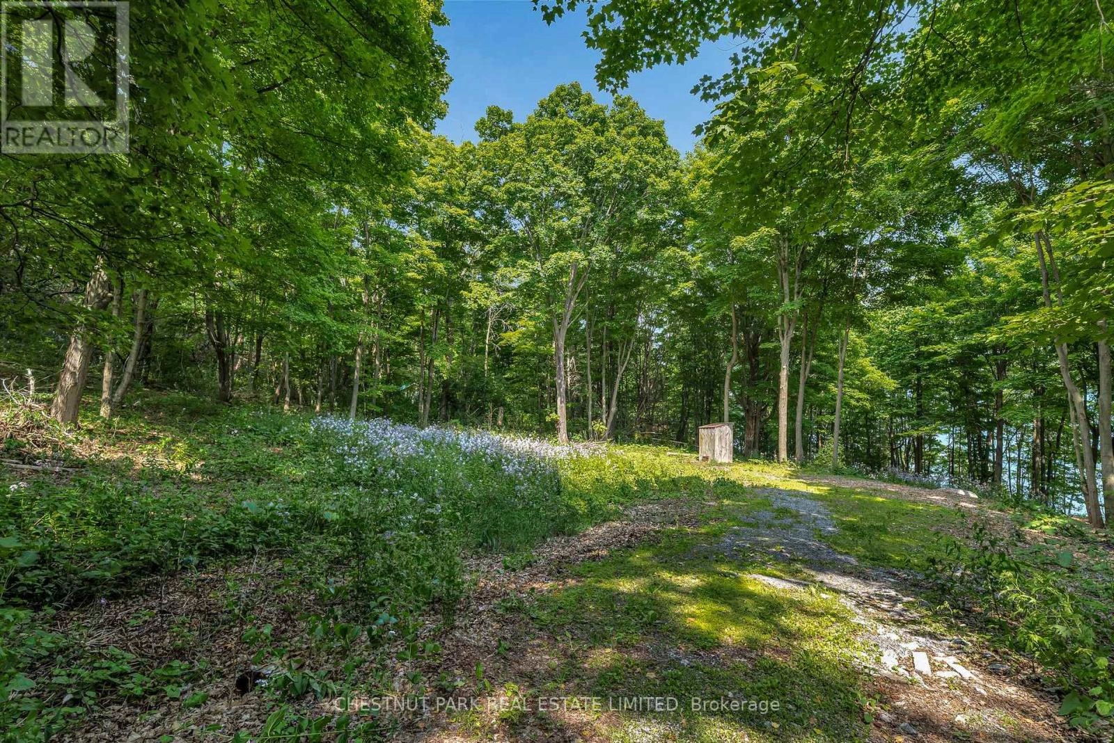 N/a Mccarthy Lane, Prince Edward County, Ontario K0K 2T0 - Photo 7 - X12223069