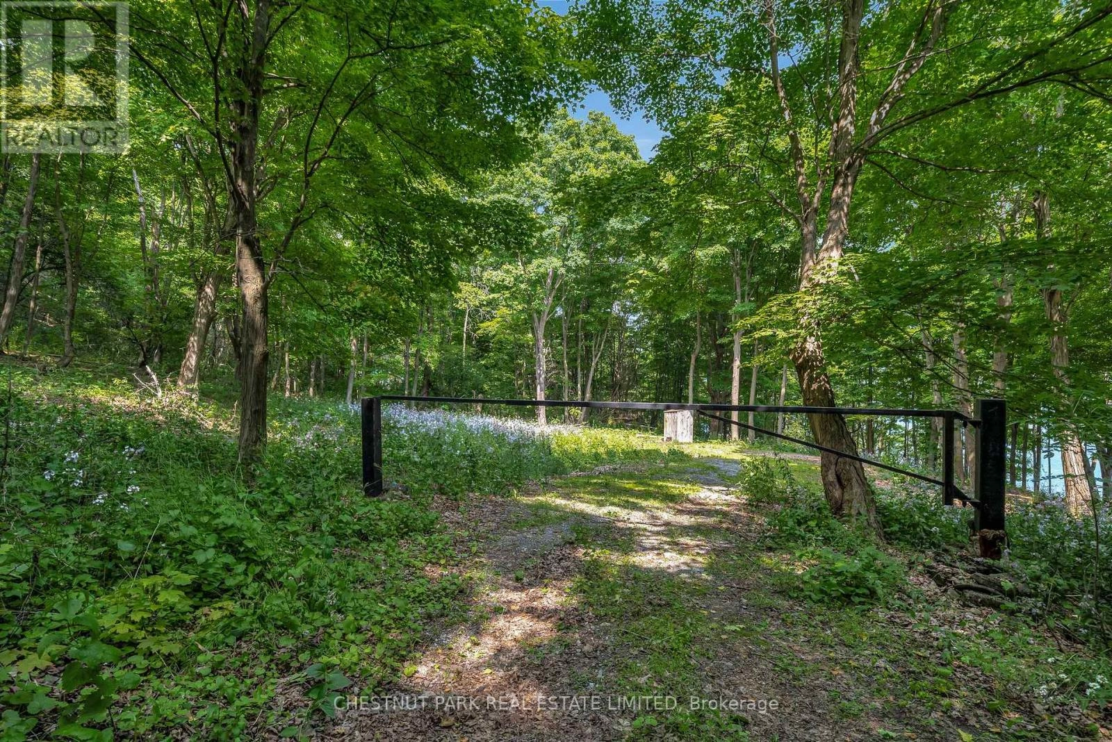 N/a Mccarthy Lane, Prince Edward County, Ontario K0K 2T0 - Photo 8 - X12223069