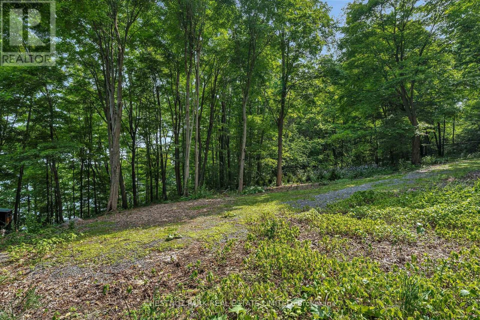 N/a Mccarthy Lane, Prince Edward County, Ontario K0K 2T0 - Photo 9 - X12223069