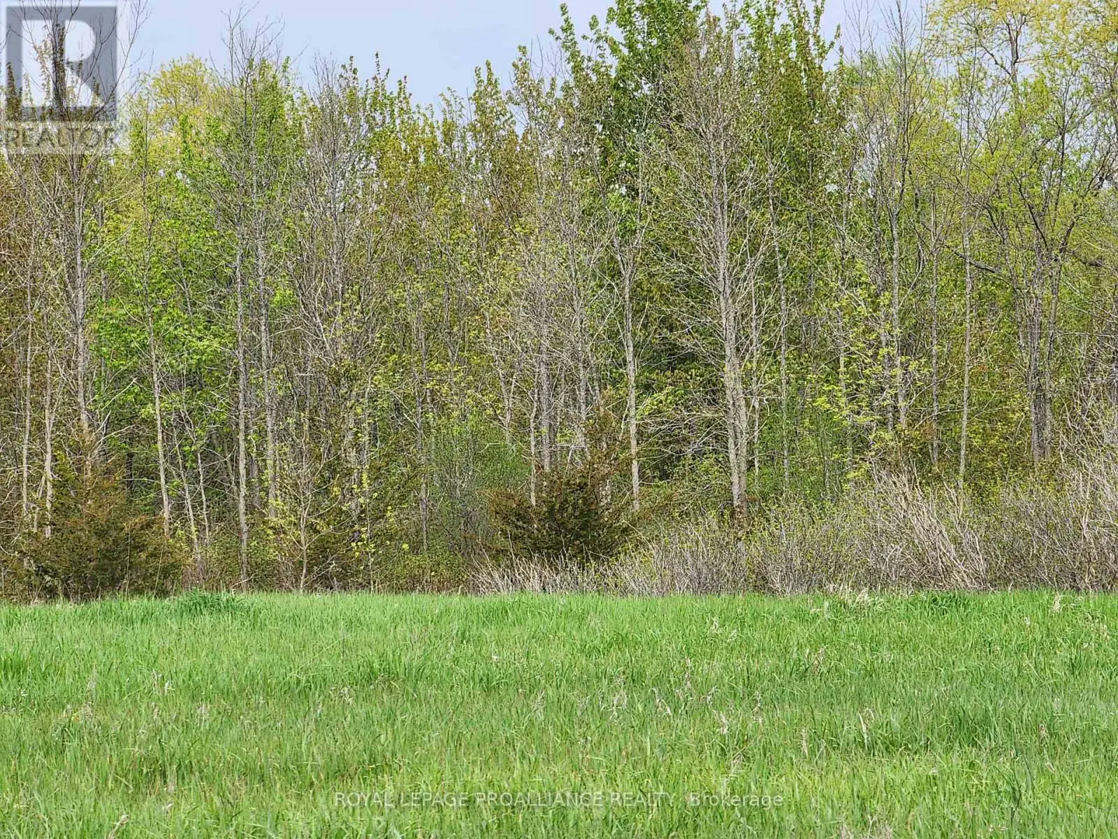 Pt Lt 4 Mitchells Crossroad Road, Prince Edward County, Ontario  K0K 2T0 - Photo 3 - X12066208