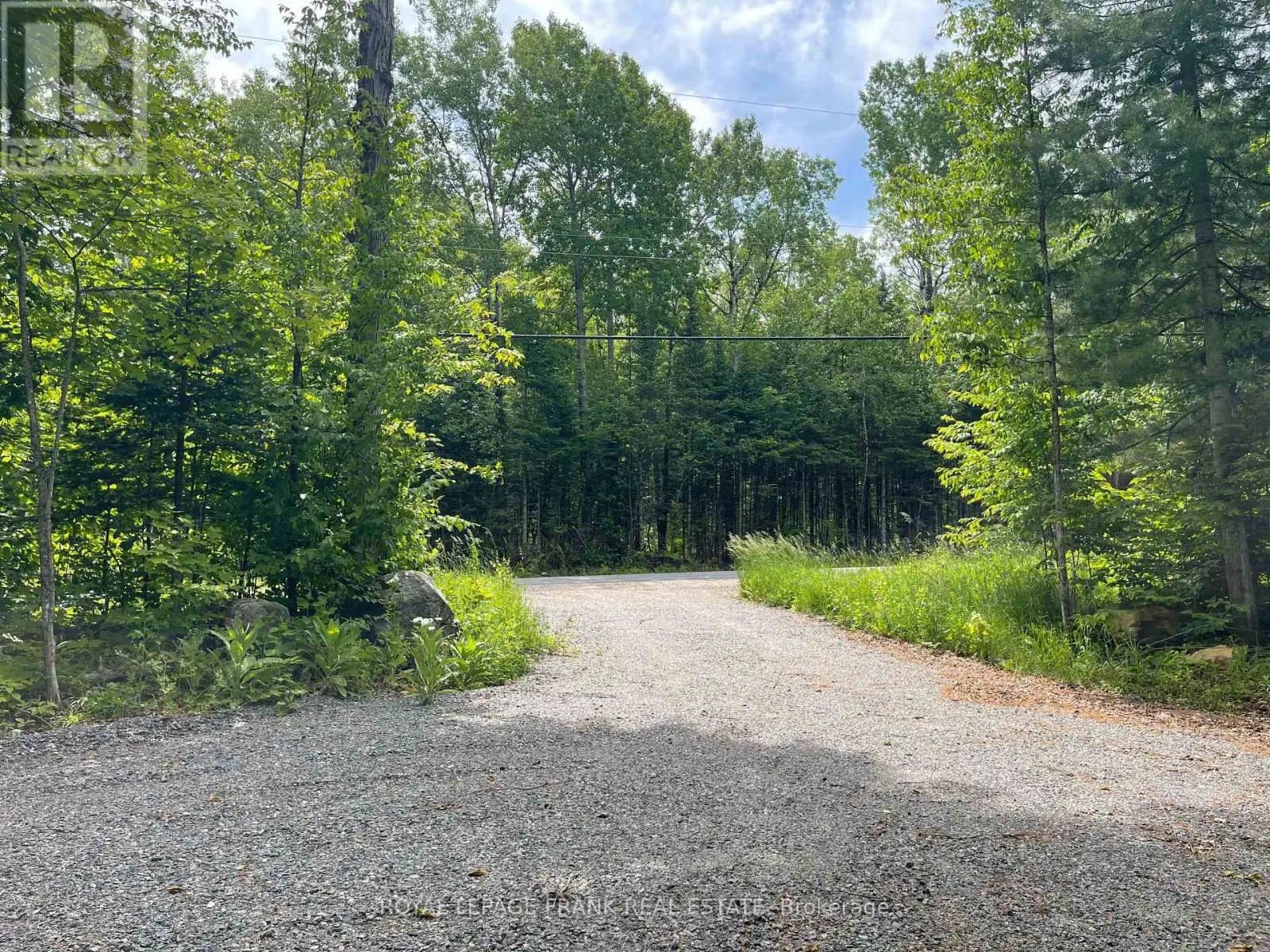1496 South Baptiste Lk Road, Hastings Highlands, Ontario  K0L 1C0 - Photo 3 - X12226413