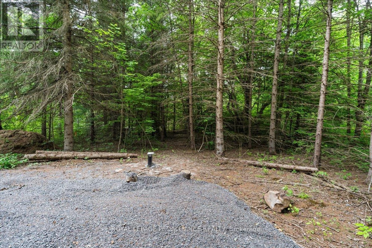 0 Otter Creek Road, Tweed, Ontario  K0K 3J0 - Photo 3 - X9393004