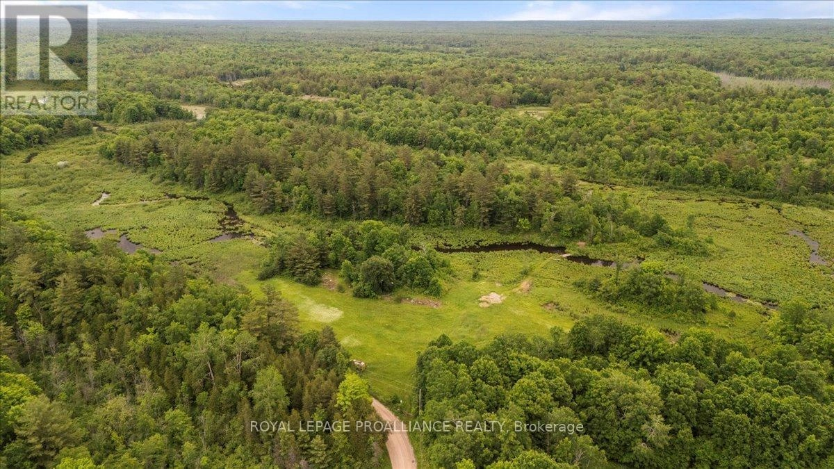2494 Sulphide Road, Tweed, Ontario  K0K 3J0 - Photo 3 - X12203282