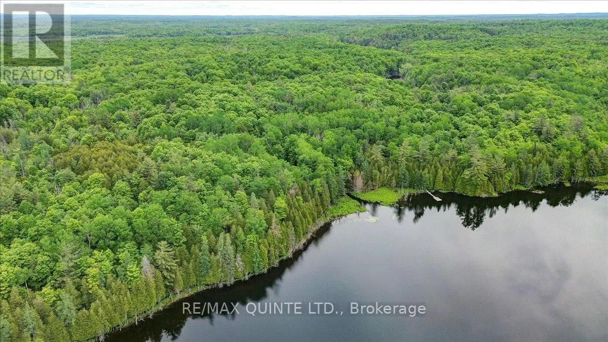 6798 Old Hastings Road, Tudor & Cashel, Ontario  K0K 1Y0 - Photo 1 - X12230666