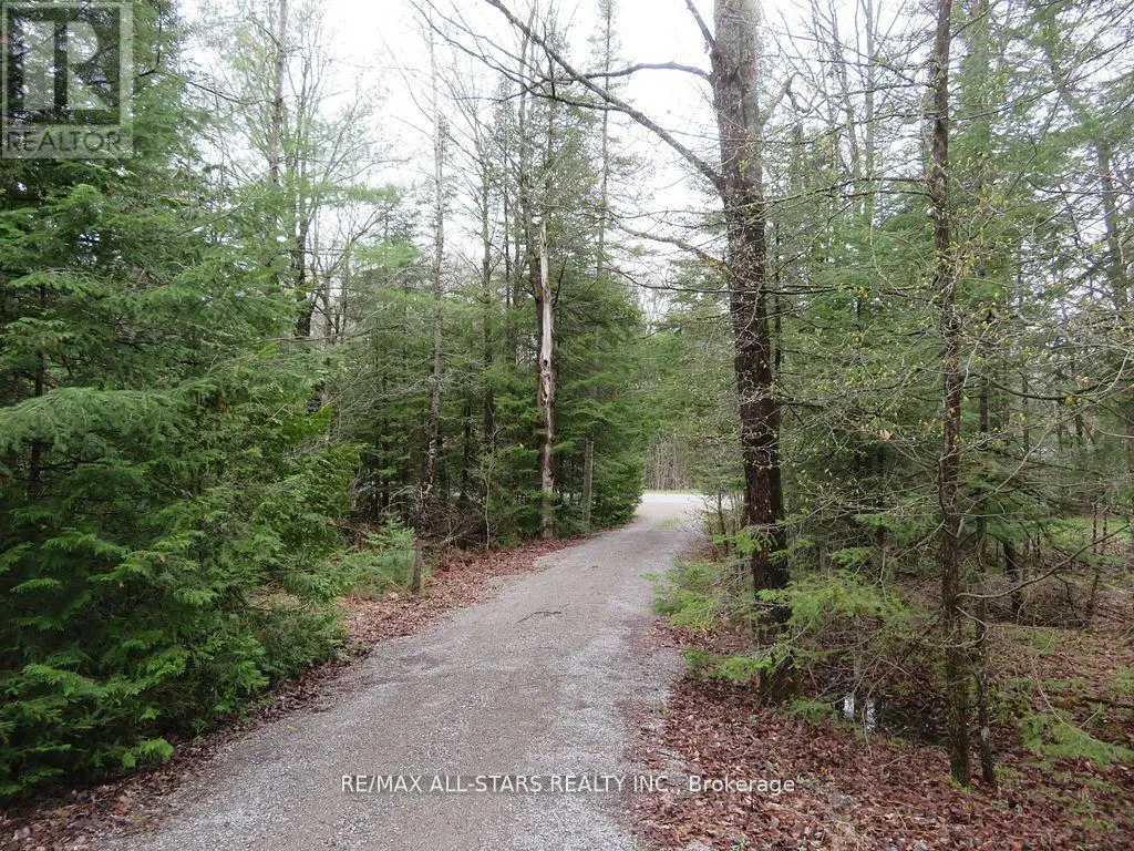 33 Edwina Drive, Trent Lakes, Ontario  K0M 1A0 - Photo 3 - X12231638