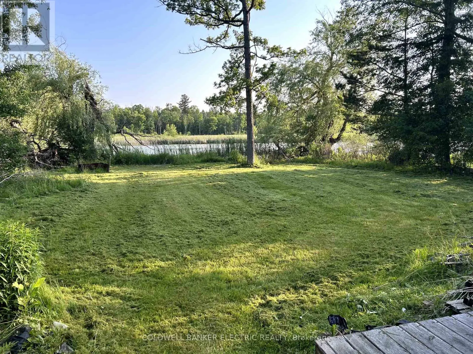 251 River Road, Trent Hills, Ontario  K0L 1L0 - Photo 3 - X12228492