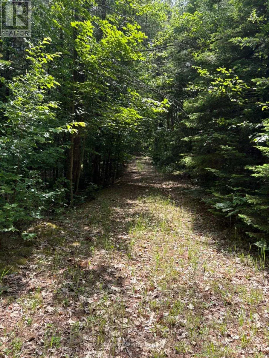 0 Bronson Road, Bancroft, Ontario  K0L 1C0 - Photo 3 - X12235431