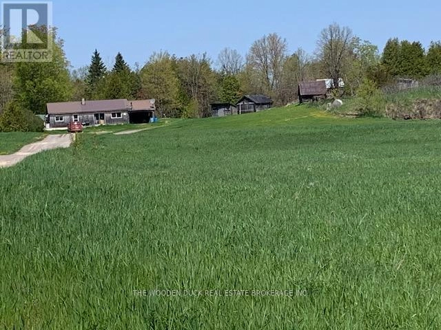 172 Dewey Road, Havelock-Belmont-Methuen, Ontario  K0L 1Z0 - Photo 3 - X12153807