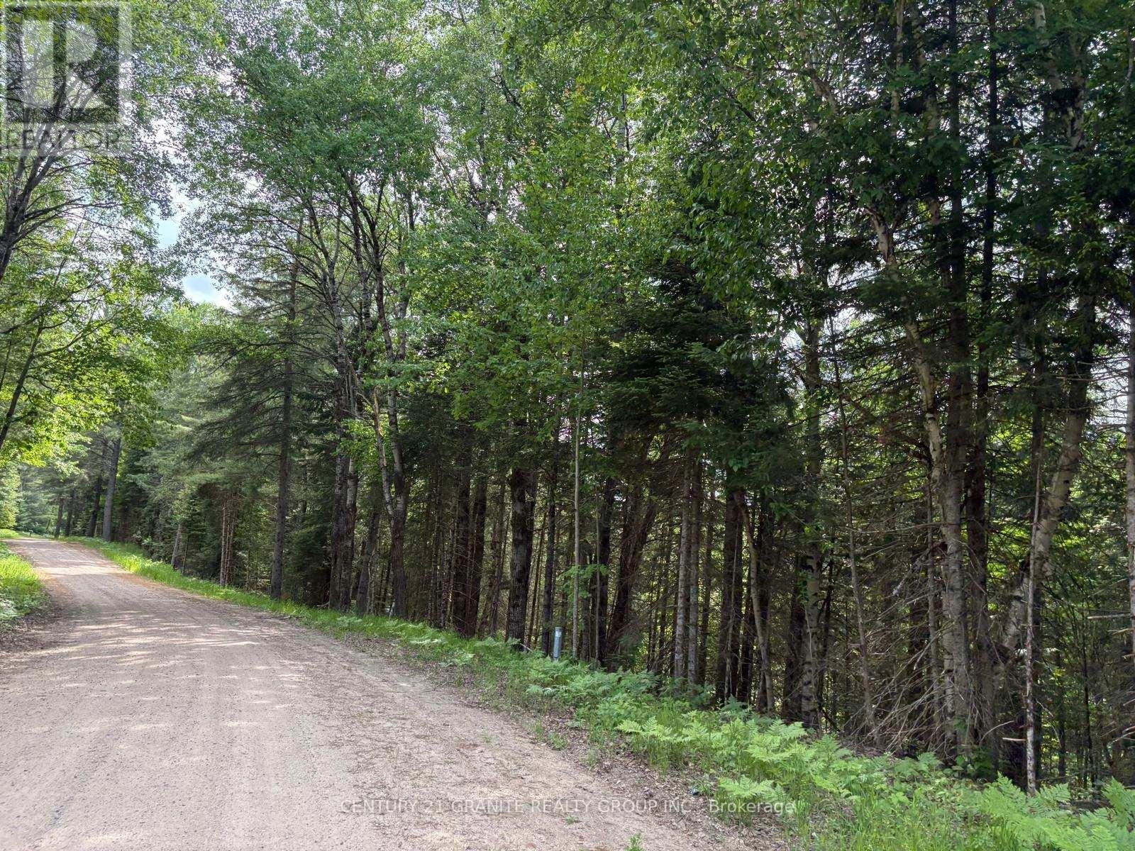 0 Thibadeau Road, Bancroft, Ontario  K0L 1C0 - Photo 2 - X12235950
