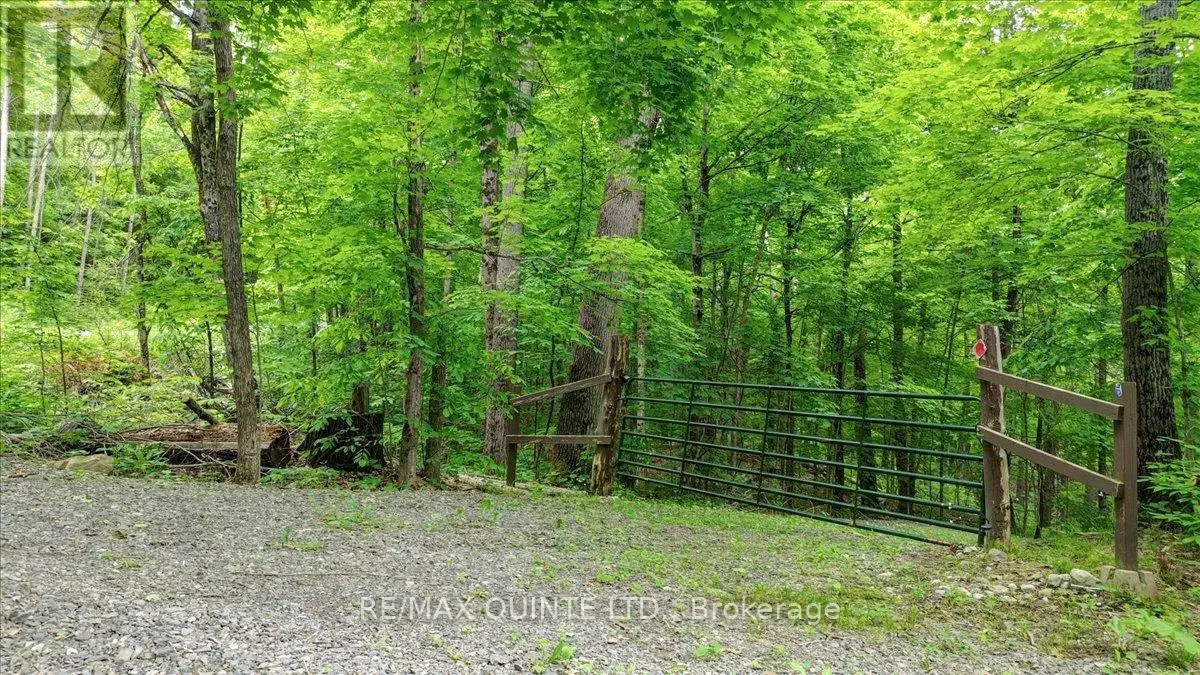 6798 Old Hastings Road, Tudor & Cashel, Ontario  K0K 1Y0 - Photo 2 - X12230666
