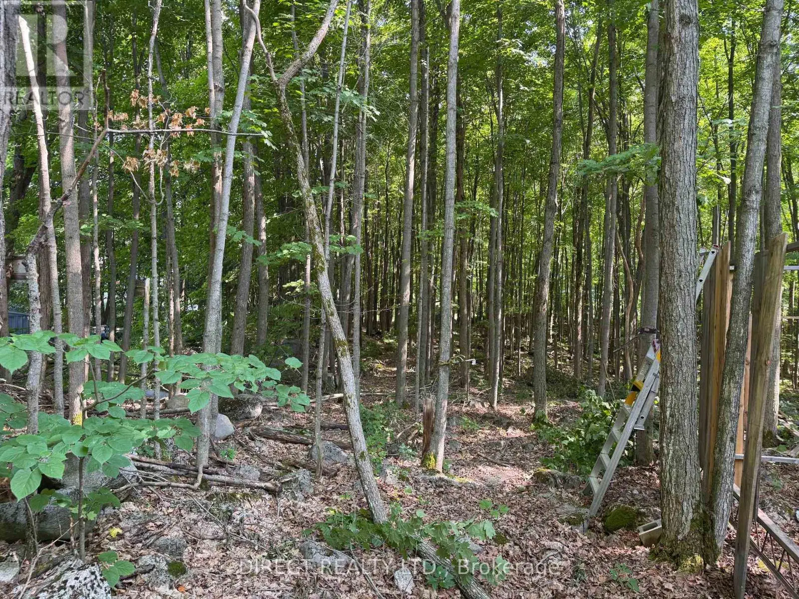 Lot 15 James Street, Tweed, Ontario  K0K 2L0 - Photo 1 - X12241729