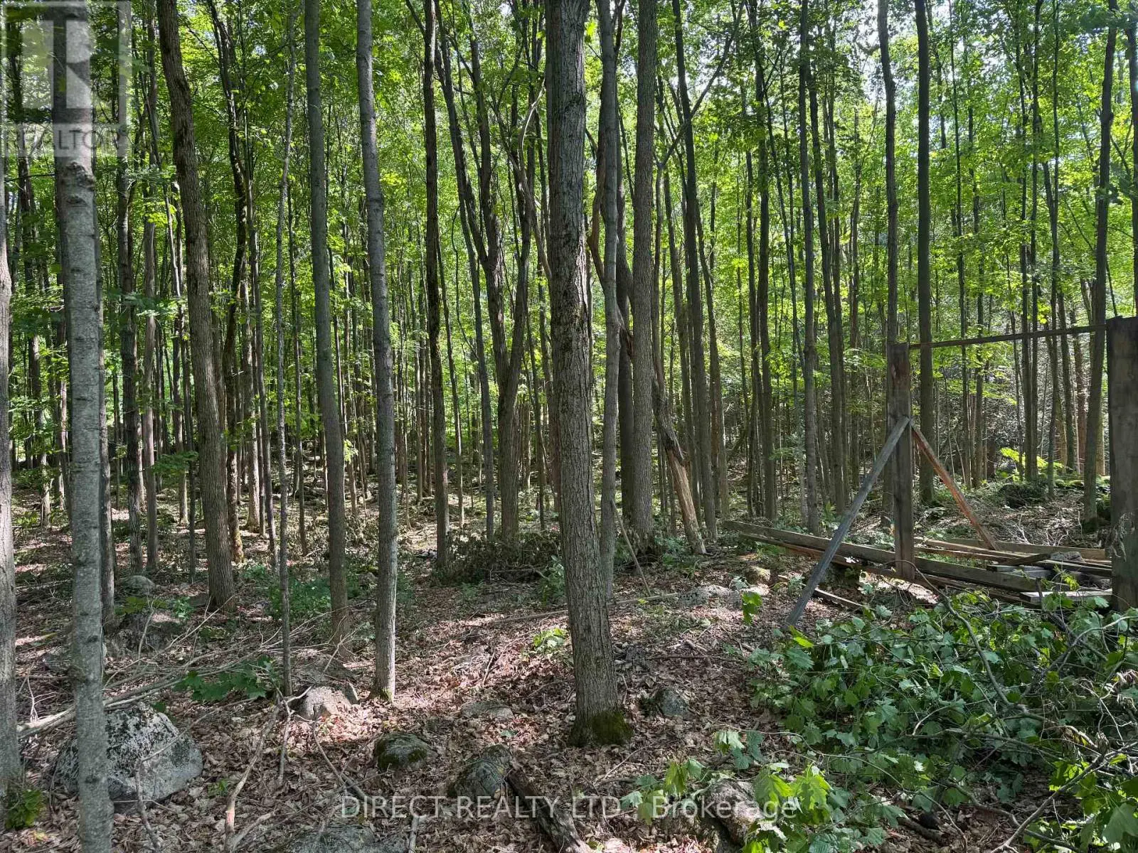 Lot 15 James Street, Tweed, Ontario  K0K 2L0 - Photo 3 - X12241729