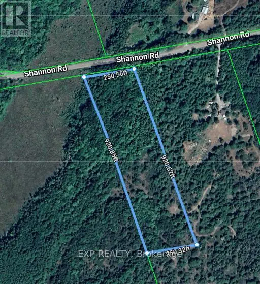 2822 Shannon Road, Tyendinaga, Ontario  K0K 3A0 - Photo 1 - X12242095