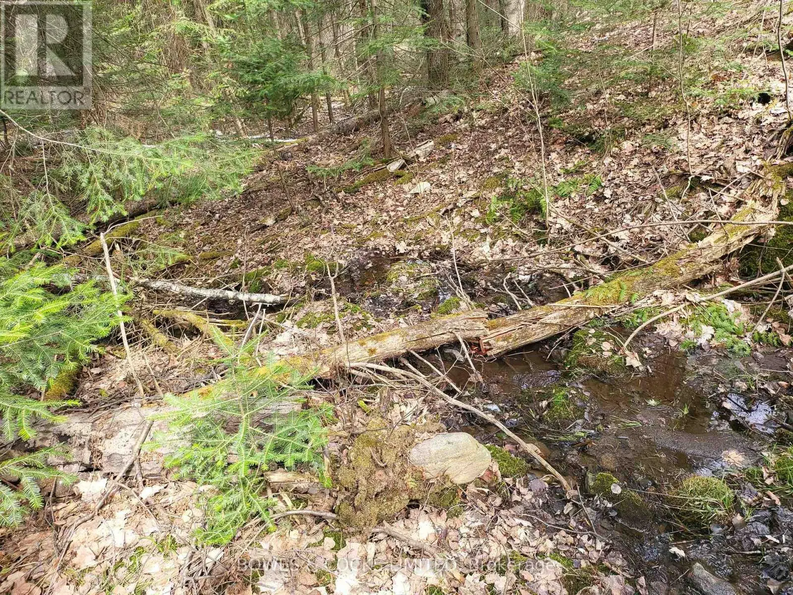 0 Highway 62 N, Hastings Highlands, Ontario  K0L 2S0 - Photo 3 - X12244467
