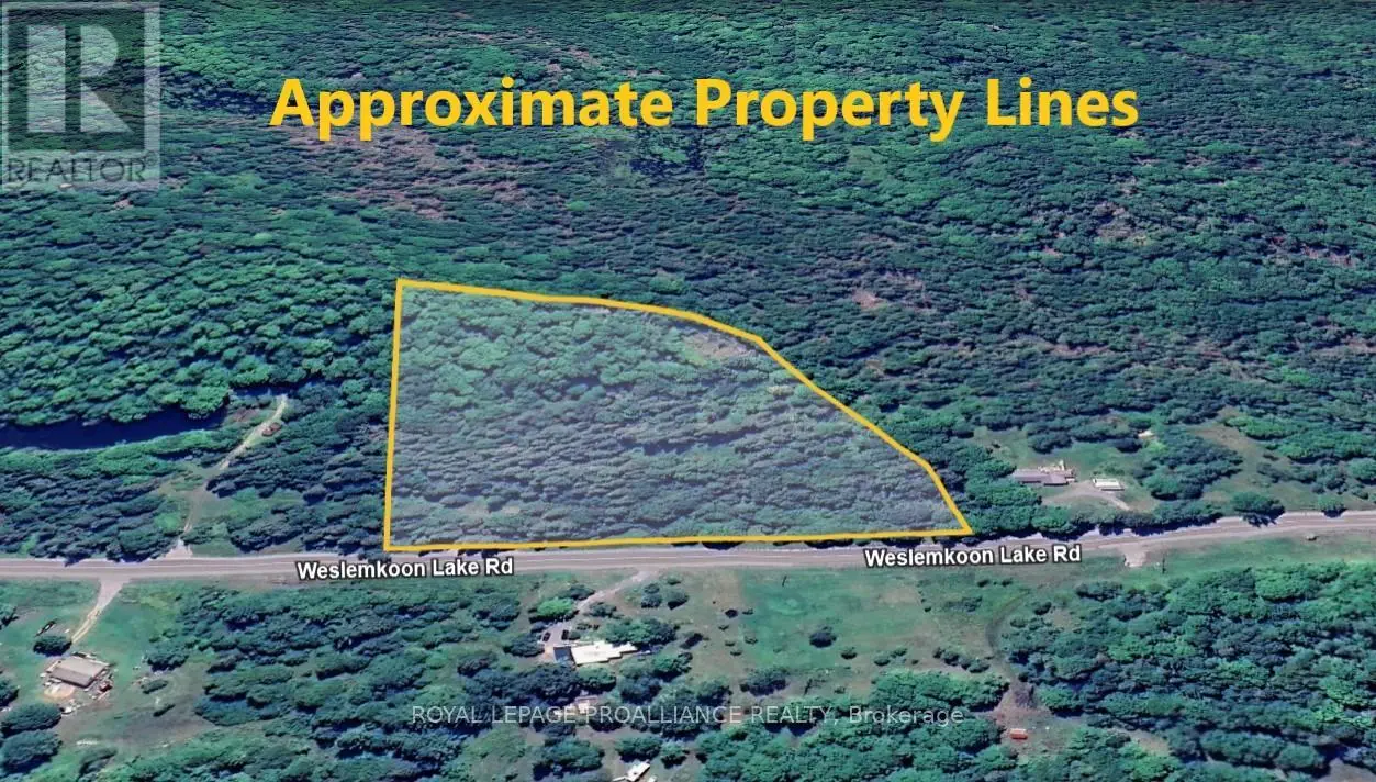 1972 Weslemkoon Lake Road, Tudor And Cashel, Ontario  K0L 1W0 - Photo 1 - X12244624