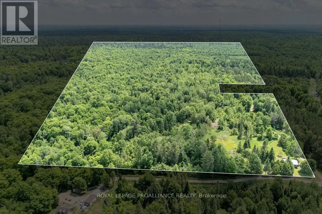 273 Tower Road, Addington Highlands, Ontario  K0H 1K0 - Photo 2 - X12245165