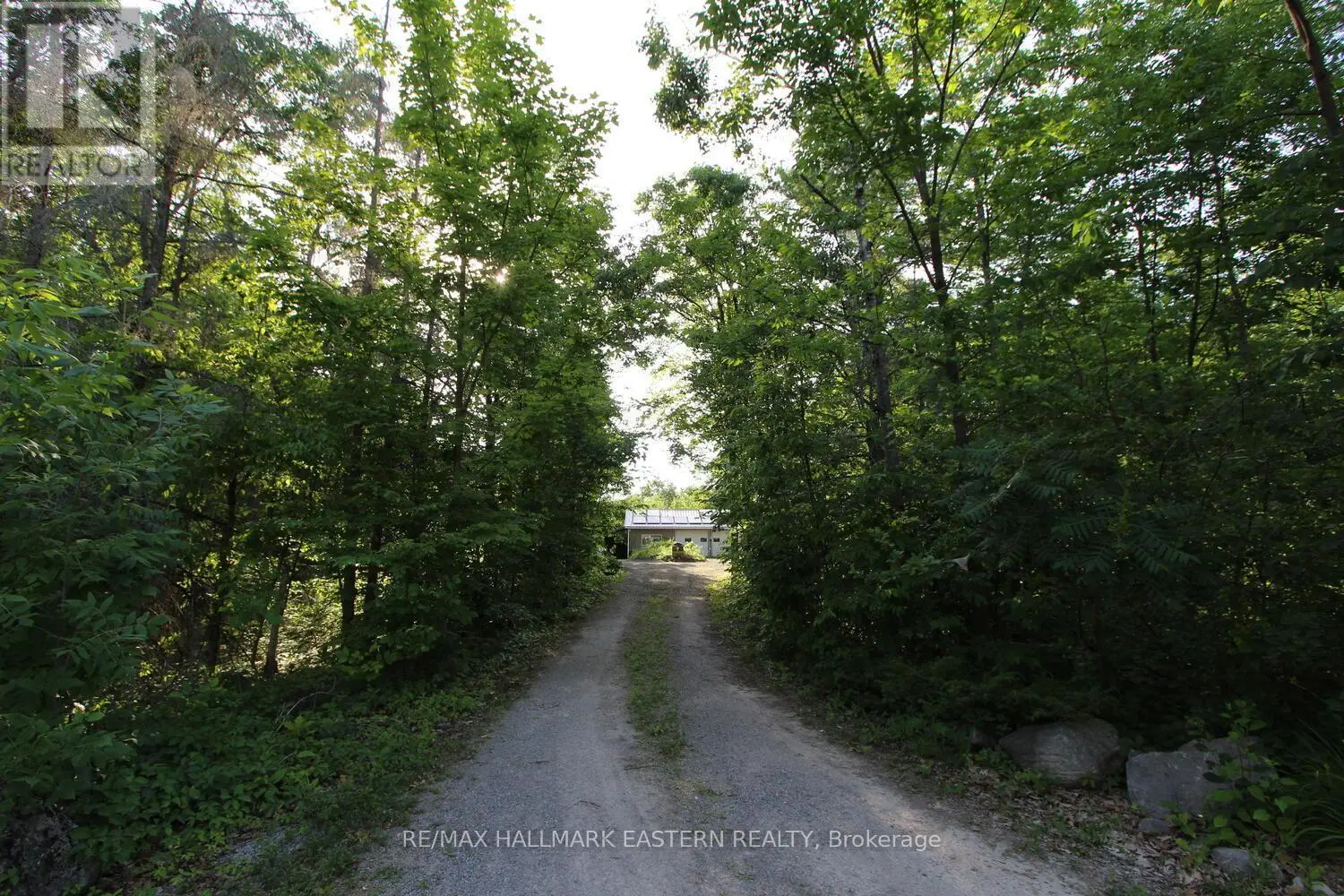 42 Maple Road, Marmora And Lake, Ontario  K0K 2M0 - Photo 3 - X12069754