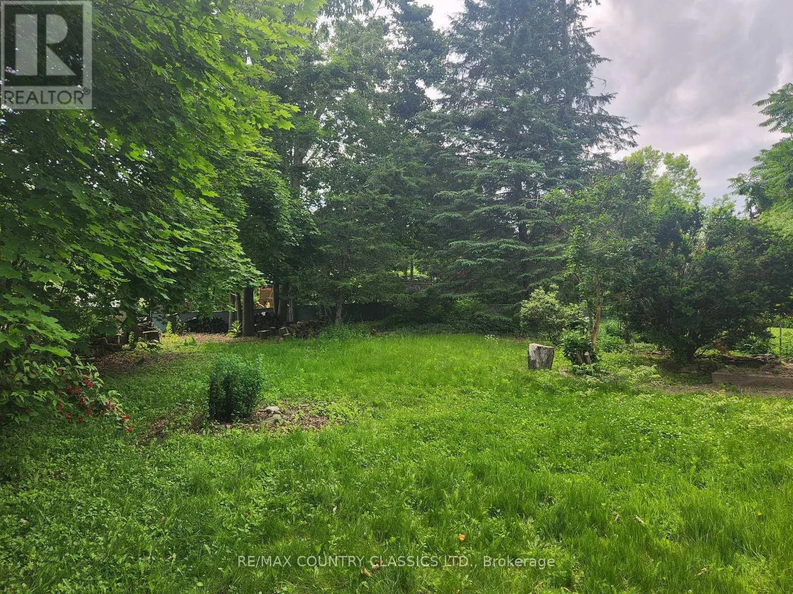 Lower - 7 Beechwood Drive, Peterborough West, Ontario  K9J 1M2 - Photo 2 - X12247292
