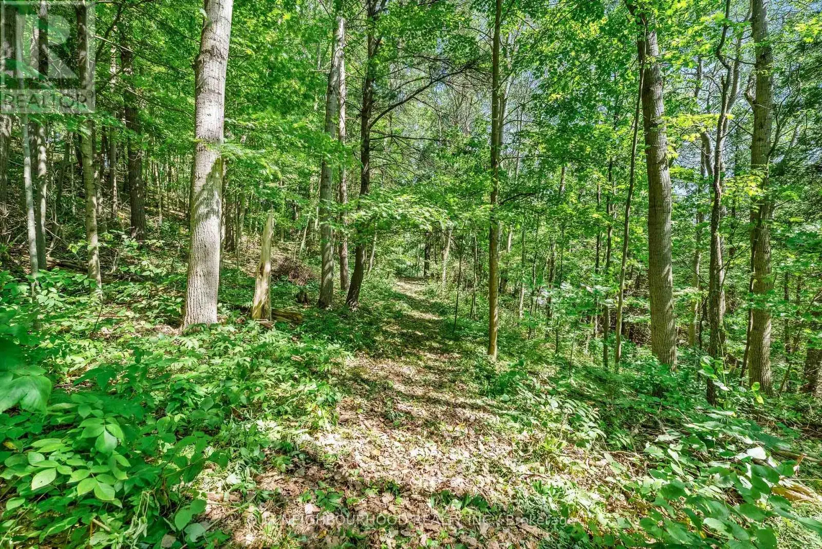 0 Shelter Valley (Part 1) Road, Alnwick/haldimand, Ontario  K0K 2G0 - Photo 1 - X12250135