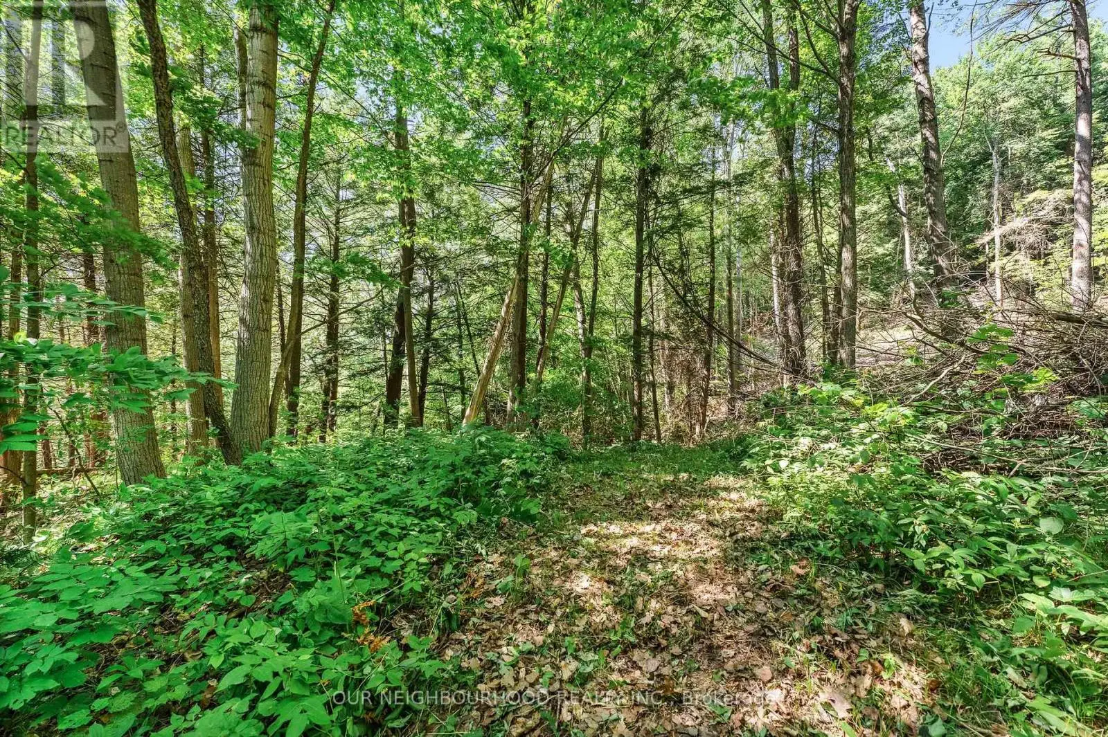 0 Shelter Valley (Part 2) Road, Alnwick/haldimand, Ontario  K0K 2G0 - Photo 3 - X12250200