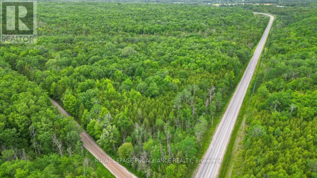 459 Meeks Road, Tweed, Ontario  K0K 2L0 - Photo 1 - X12250204