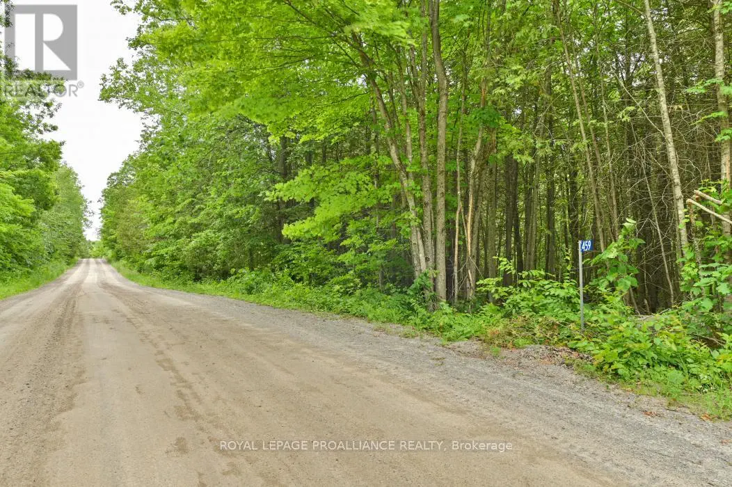 459 Meeks Road, Tweed, Ontario  K0K 2L0 - Photo 2 - X12250204