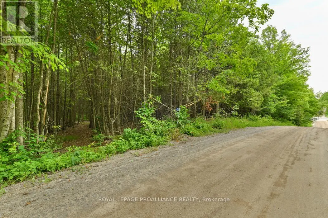 459 Meeks Road, Tweed, Ontario  K0K 2L0 - Photo 3 - X12250204